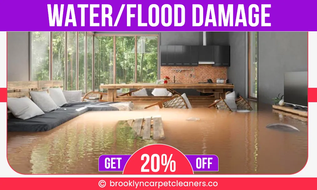 carpet cleaning in brooklyn, carpet cleaning in new york, carpet cleaning brooklyn, carpet cleaners in brooklyn, carpet cleaners in new york, commercial carpet cleaning, commercial carpet cleaning in brooklyn, brooklyn rug cleaners, rug cleaning services in brooklyn, same day carpet cleaning, same day rug cleaning