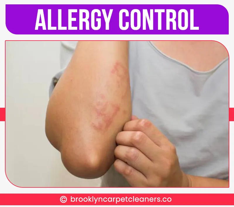 carpet cleaning in brooklyn, carpet cleaning in new york, carpet cleaning brooklyn, carpet cleaners in brooklyn, carpet cleaners in new york, commercial carpet cleaning, commercial carpet cleaning in brooklyn, brooklyn rug cleaners, rug cleaning services in brooklyn, same day carpet cleaning, same day rug cleaning